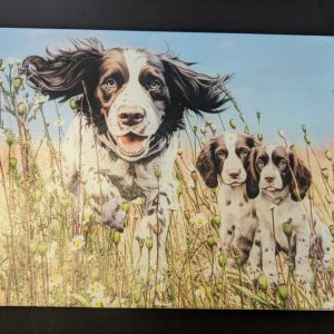 Glass Cutting Board - Springers in Poppy Field