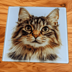 Glass Coaster - Cat-Tabby