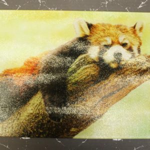 Glass Cutting Board - Red Panda