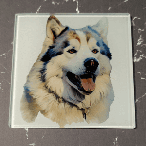 Glass Coaster - Alaskan Malamute