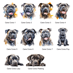 Cain Corso Images