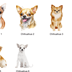 Chihuahua Images