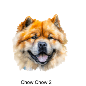 Chow Chow Images