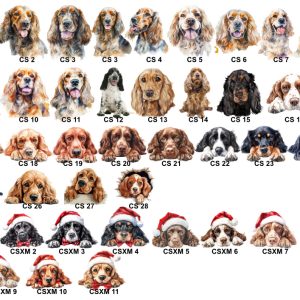 Cocker Spaniel Images