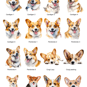 Corgi Images
