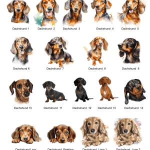 Dachshund Images