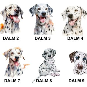 Dalmatian Images