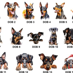 Doberman Images