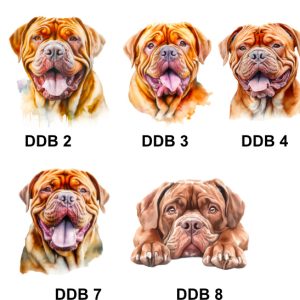 Dogue de Bordeaux Images