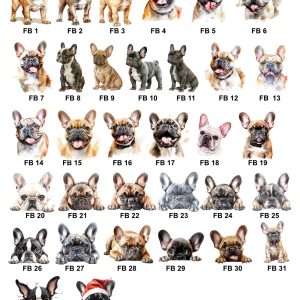 French Bulldog Images