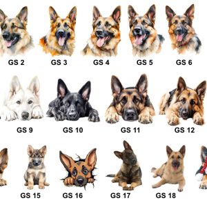 German Shepherd Images