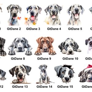 Great Dane Images