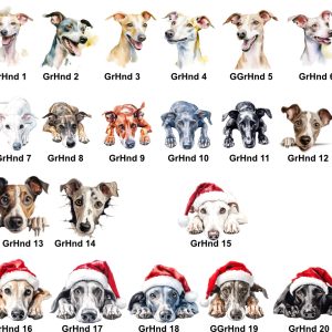Greyhound Images