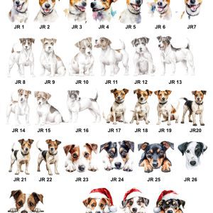 Jack Russell Images