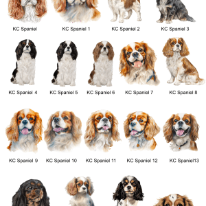 Cavalier King Charles Images