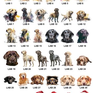 Labrador Images