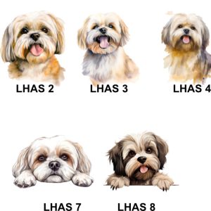 Lhasa Apso Images