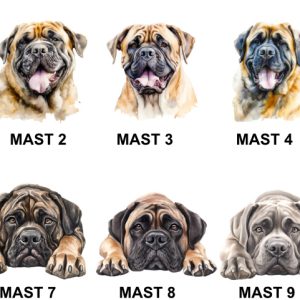 Mastiff Images