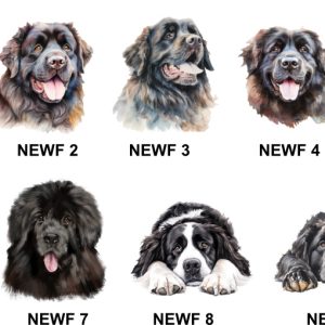 Newfoundland Images