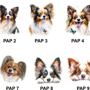 Papillion Images