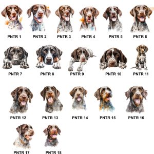 Pointer Images