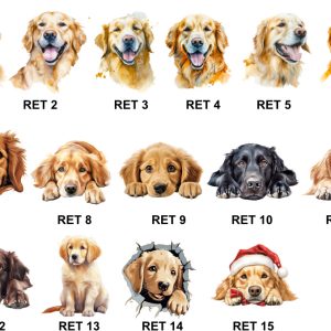Retriever Images