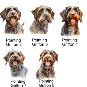 Pointing Griffon Images