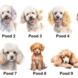 Poodle Images