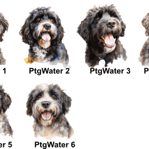 Portuguese Water Images