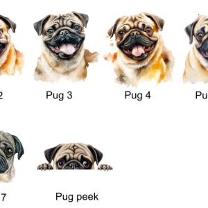 Pug Images