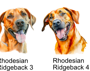 Rhodesian Ridgeback Images
