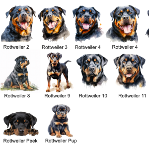 Rottweiler Images