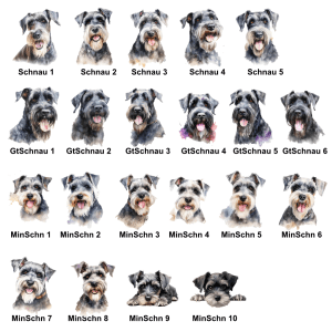 Schnauzer Images