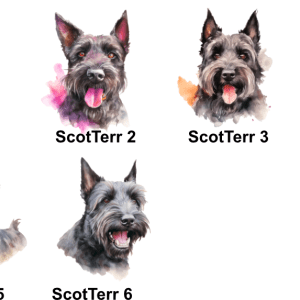 Scottish Terrier Images