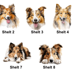 Sheltie Images