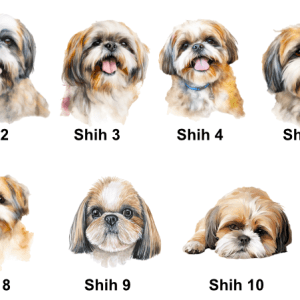 Shih Tzu Images