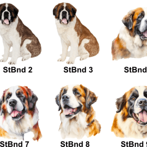 St Bernard Images
